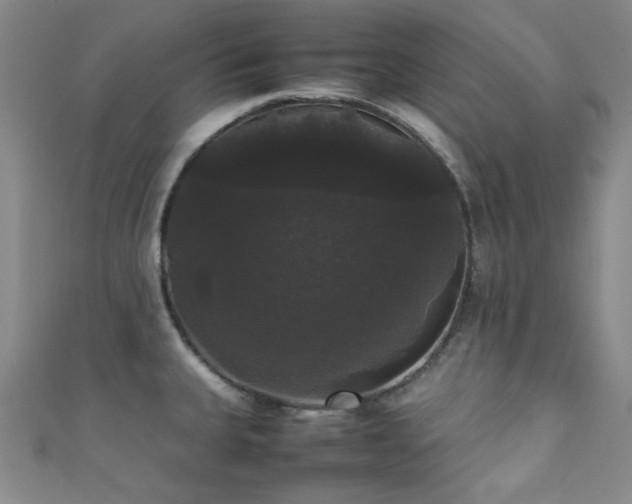 X0000111371335200907101203