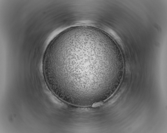 X0000111371336200907101203