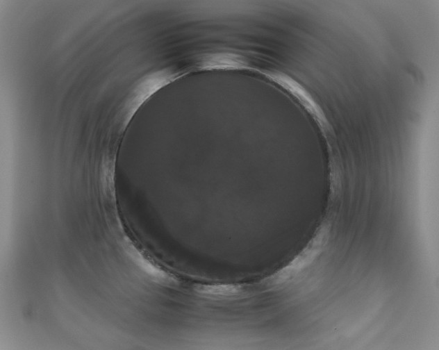 X0000111371337200907101203