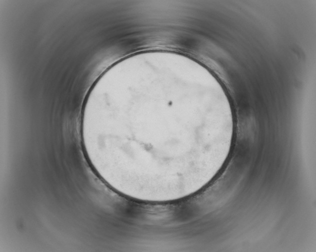 X0000111371338200907101203