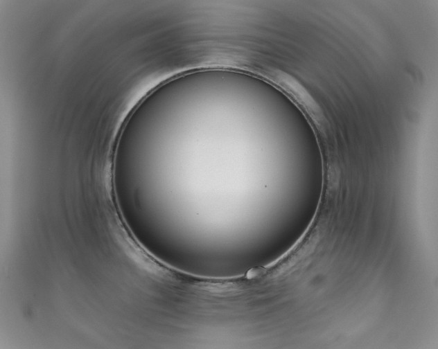 X0000111371340200907101203