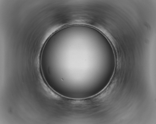 X0000111371341200907101203