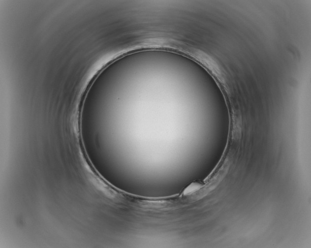X0000111371342200907101203