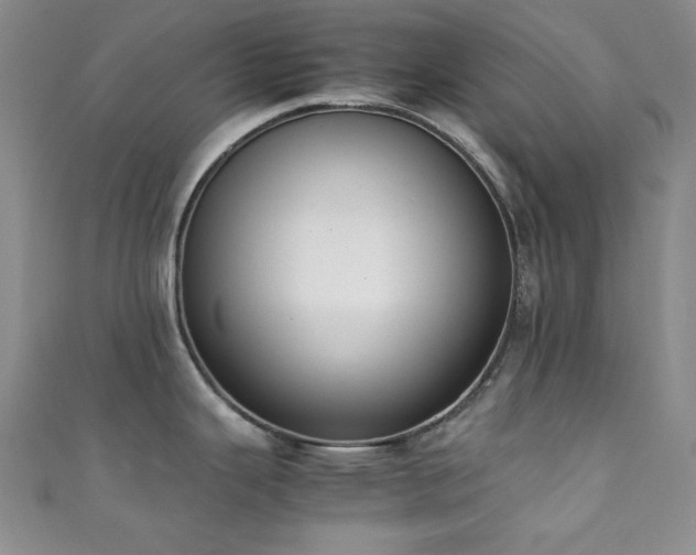X0000111371343200907101203