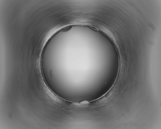 X0000111371344200907101203