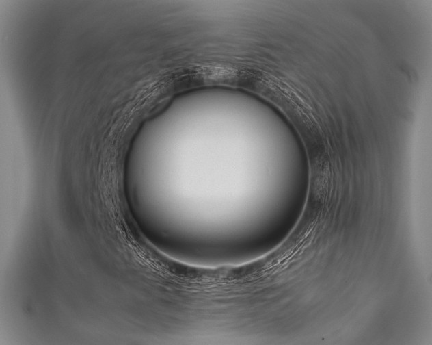 X0000111371345200907101202