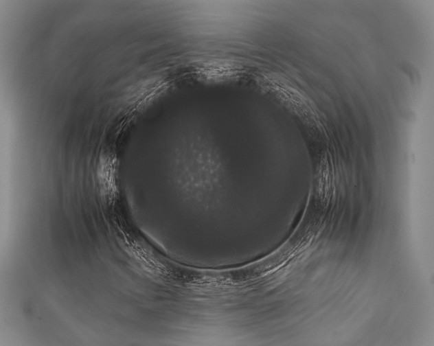 X0000111371346200907101202