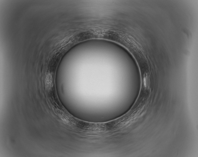 X0000111371347200907101202