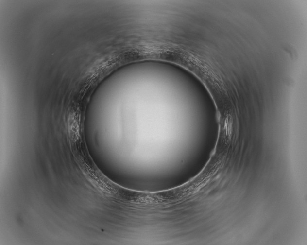 X0000111371348200907101202