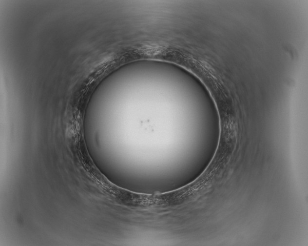 X0000111371349200907101202