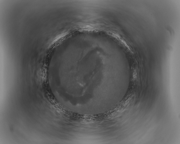 X0000111371350200907101202
