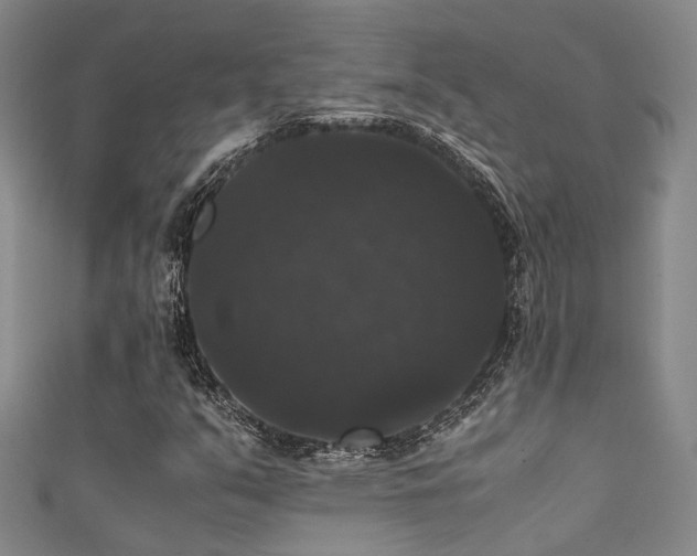 X0000111371351200907101202