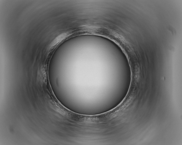 X0000111371354200907101202
