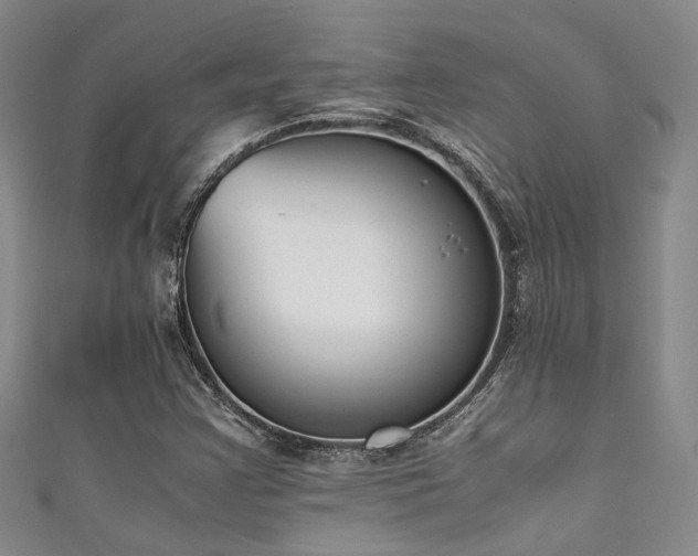 X0000111371355200907101202