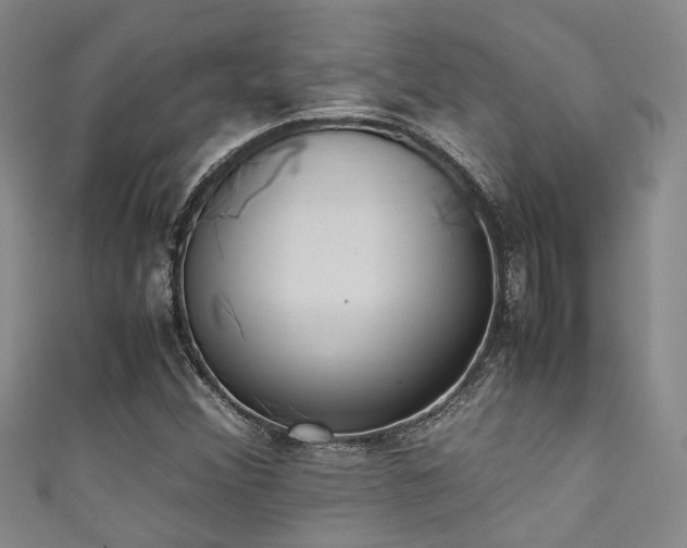 X0000111371356200907101202