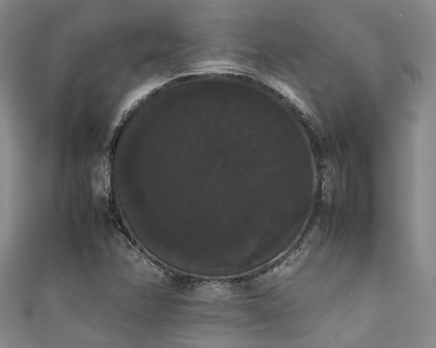 X0000111371358200907101202