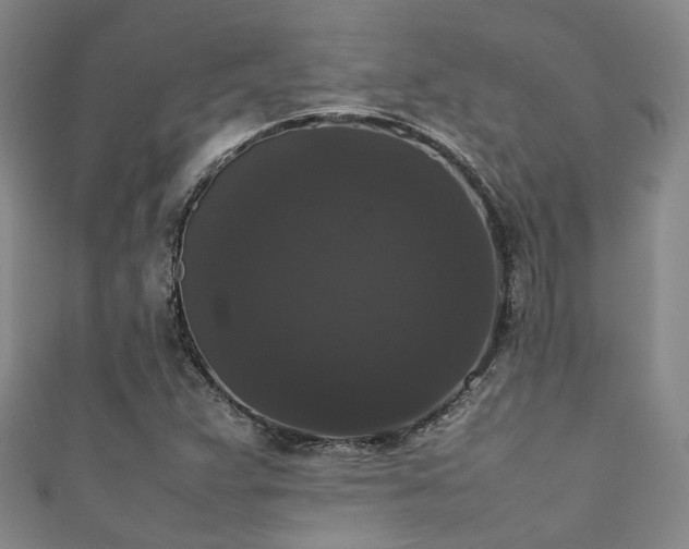 X0000111371359200907101202
