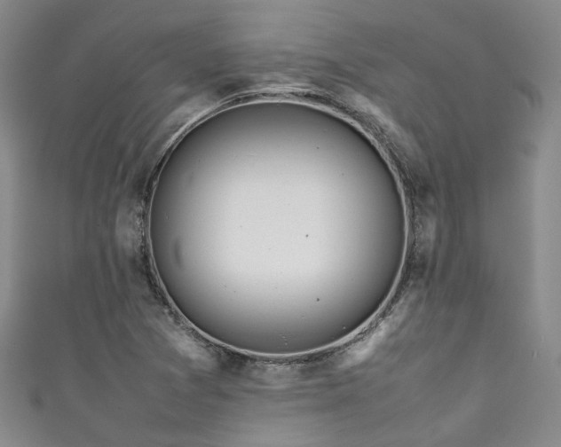 X0000111371361200907101202