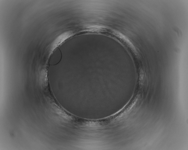 X0000111371362200907101202