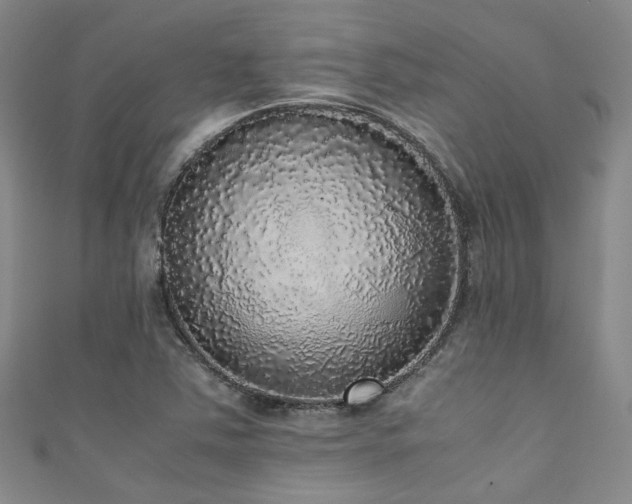 X0000111371363200907101202