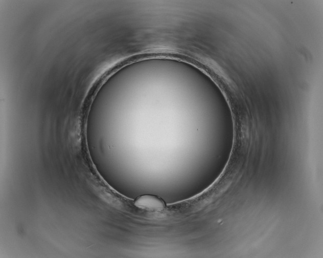 X0000111371364200907101202