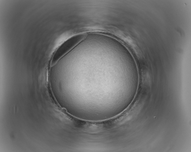 X0000111371365200907101202