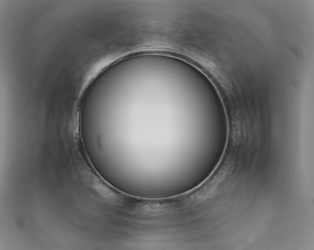 X0000111371366200907101202