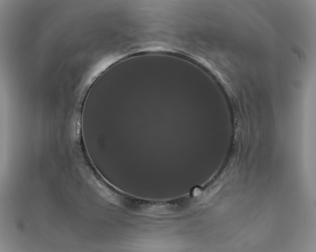 X0000111371367200907101202