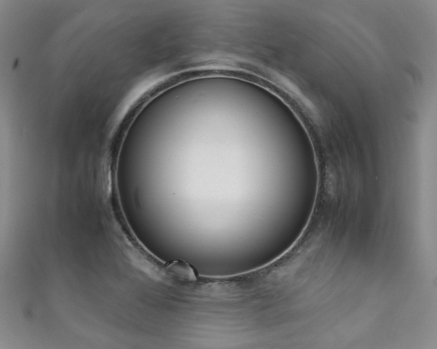 X0000111371368200907101202