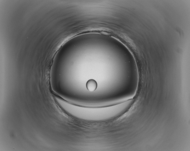 X0000111371369200907101202
