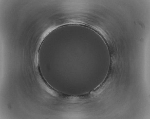 X0000111371371200907101202