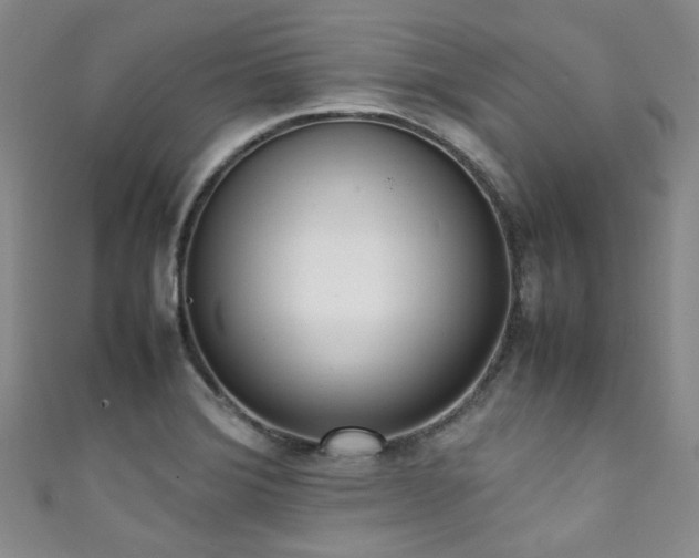 X0000111371372200907101202