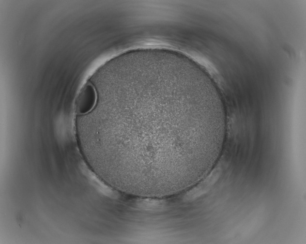 X0000111371374200907101202