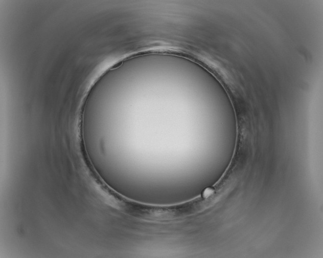 X0000111371375200907101202