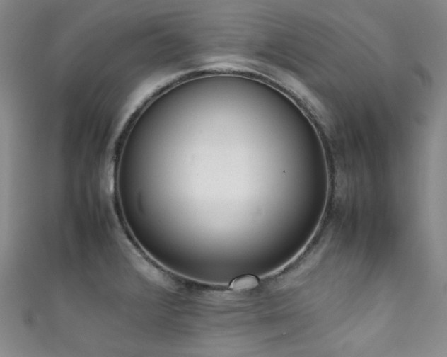 X0000111371376200907101202