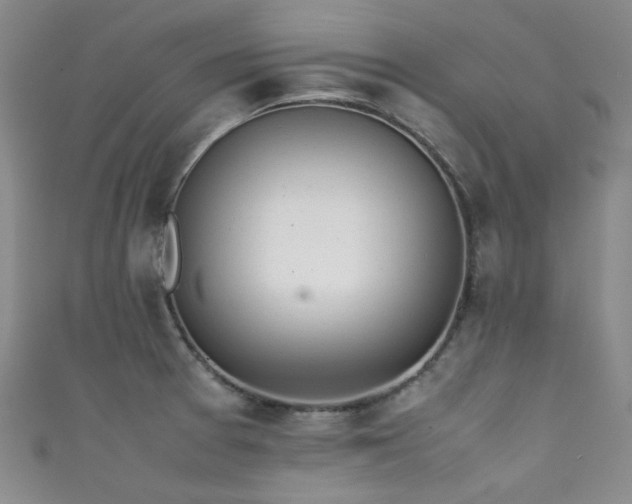 X0000111371377200907101202