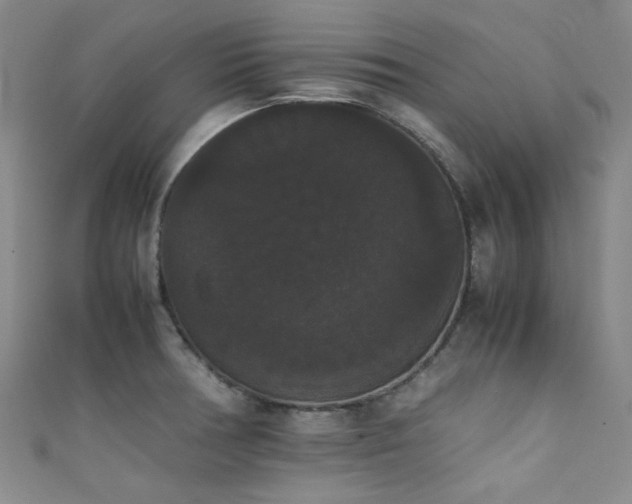 X0000111371378200907101202