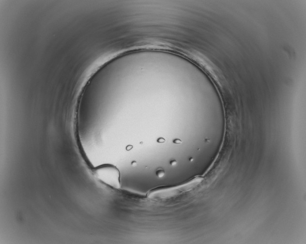 X0000111371379200907101202