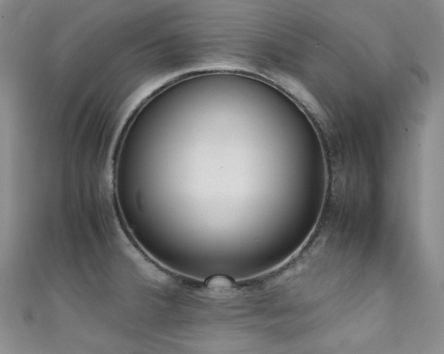 X0000111371380200907101202