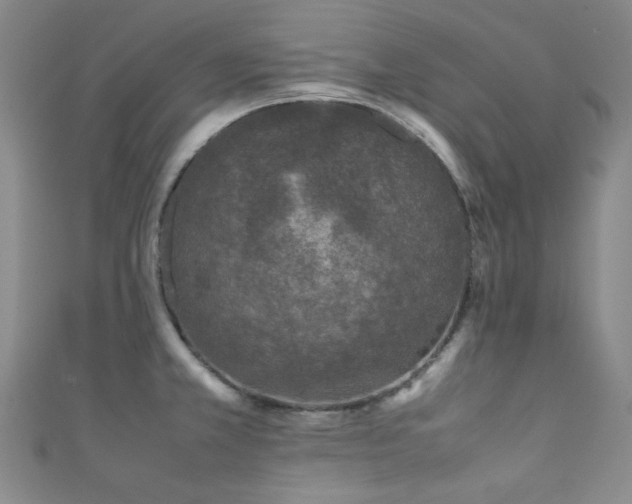 X0000111371381200907101202