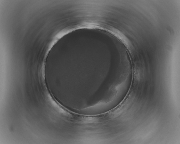 X0000111371382200907101202