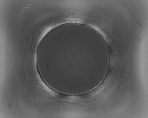 X0000111371383200907101202