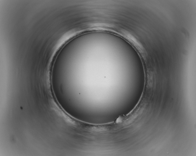 X0000111371384200907101202
