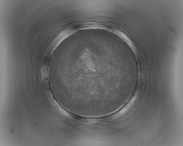 X0000111371385200907101202