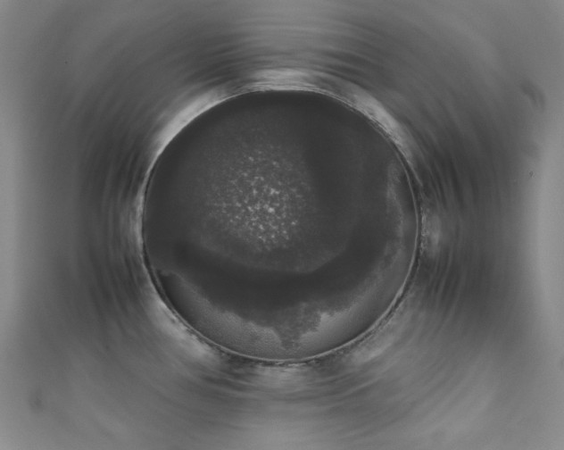 X0000111371386200907101202