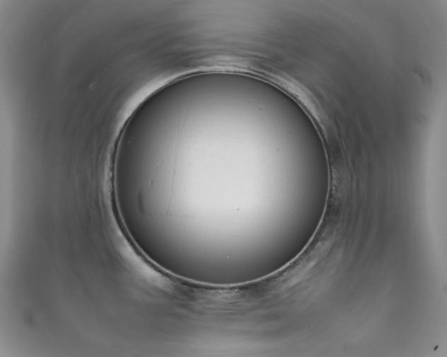 X0000111371387200907101202