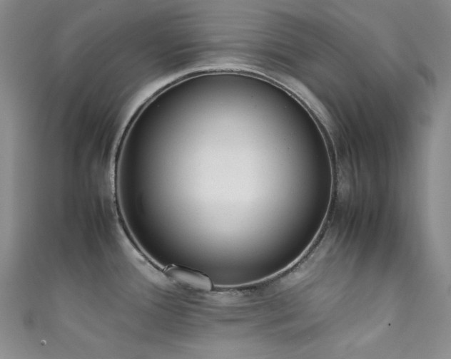 X0000111371388200907101202
