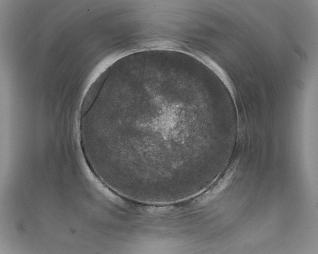 X0000111371389200907101202