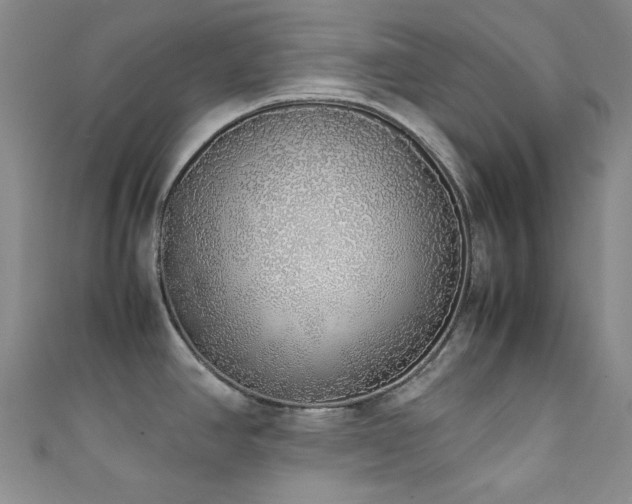 X0000111371390200907101202
