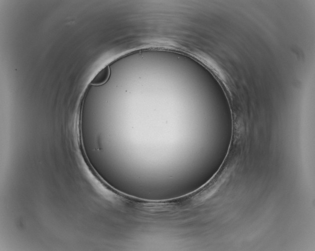 X0000111371391200907101202